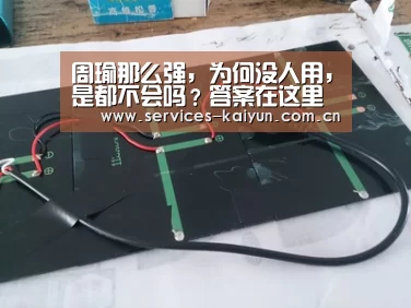 开云体育下载
