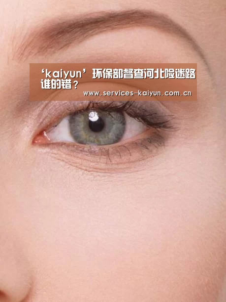 开云体育入口