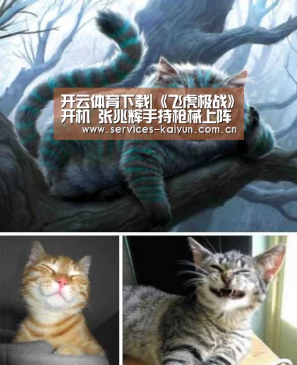 开云官网